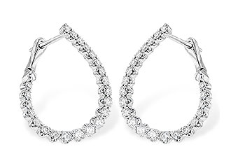 F309-55119: EARR 1.00 TW